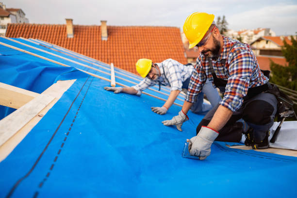 Best Flat Roof Repair Services  in Elkton, KY