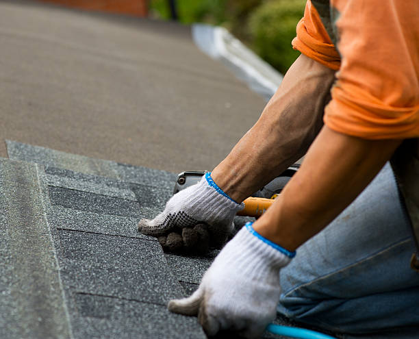 Best Roof Replacement Cost  in Elkton, KY